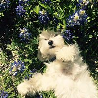 Jennifer Doggett Photo 13
