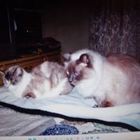 Christine Elder Photo 7
