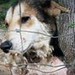 Paula Donaldson Photo 17
