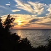 Lisa Amerson Photo 7