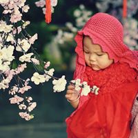 Trung Trinh Photo 9
