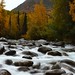 Michael Atkins Photo 28