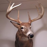 Richard Burger Photo 29