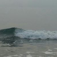 Holly Andrade Photo 11