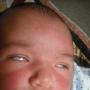 Laura Whipple Photo 18