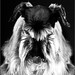 Rosie Beard Photo 10