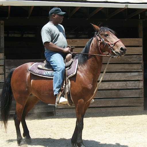 Rickey Long Photo 25