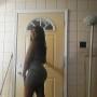 Tanisha Conner Photo 4