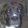 Jody Hall Photo 30