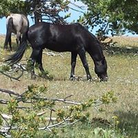 Wendy Larson Photo 27