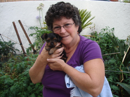 Terri Hawkins Photo 16