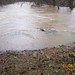 Susan Snead Photo 23