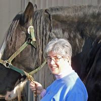 Linda Toole Photo 24