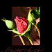 Tiffany Patton Photo 17