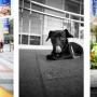 Richard Tran Photo 27