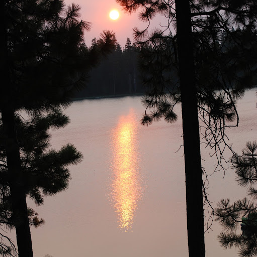 Kimberly Gamble Photo 41