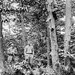 Allen Arthur Photo 36