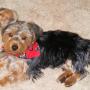 Cynthia Holbrook Photo 25