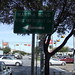 Martha Kirby Photo 24