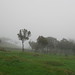Heather Low Photo 22