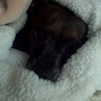 Jackie Gunter Photo 8