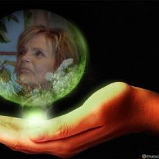 Suzanne Gannon Photo 26