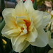 Mary Copeland Photo 24
