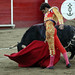 Jose Tamayo Photo 21