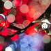 Ching Pang Photo 17