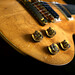 Paul Wood Photo 8