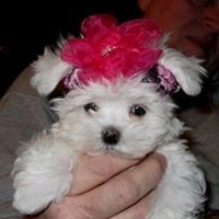 Ann Reeder Photo 4