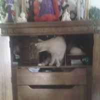 Barbara Hodge Photo 23