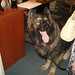 Cheri Jewell Photo 9