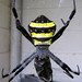 Andrew Cross Photo 35