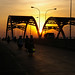 Linh Ho Photo 21