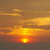 Gayle Gray Photo 39