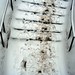 David Thiessen Photo 18