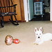 Nellie West Photo 10