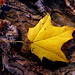 Sara Caldwell Photo 45