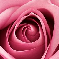 Debra Hite Photo 12