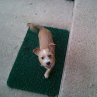 Donna Crowder Photo 21