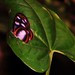 Keith Hoskins Photo 19