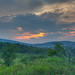 Troy Summers Photo 12