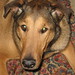 Larry Conner Photo 20