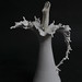 Ming Tsang Photo 10