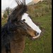 Amy Sheldon Photo 32