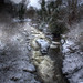 Charles Almond Photo 16