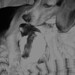 Bonnie Barney Photo 5