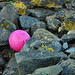 Rosa Stone Photo 18