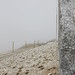 Tommy Simpson Photo 44